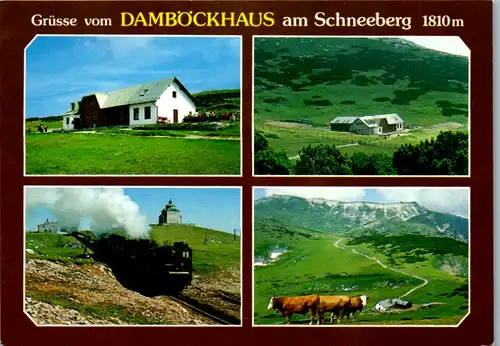 6383 - Niederösterreich - Puchberg , Damböckhaus am Schneeberg , Hochschneeberg , Zahrradbahn - gelaufen 1999