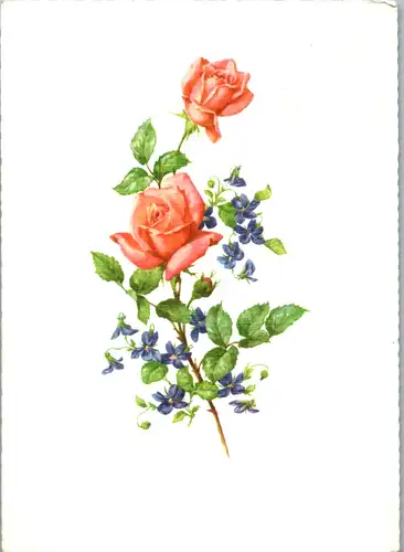 6451 -  - Motiv , Blumen , Rose - gelaufen 1971