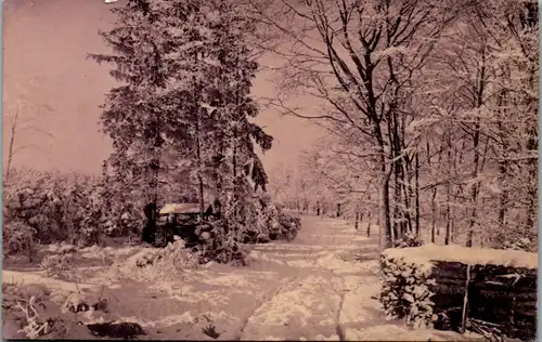 6457 -  - Winterlandschaft - gelaufen 1910