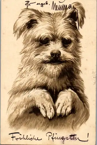 6459 -  - Motiv , Hund - gelaufen 1903