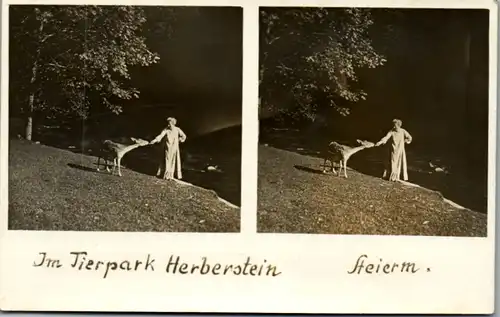 6566 - Österreich - Steiermark , Im Tierpark Herberstein - nicht gelaufen