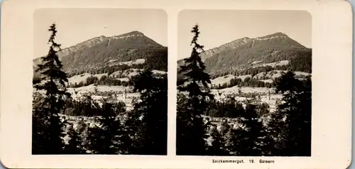 6591 - Österreich - Bad Goiser , Salzkammergut v. 1909