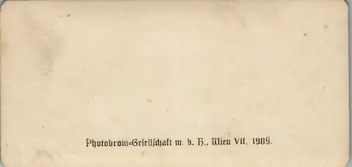 6591 - Österreich - Bad Goiser , Salzkammergut v. 1909