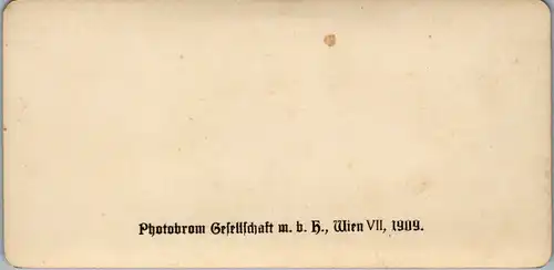 6616 - Bosnien und Herzegovina - Ilida , Jlidze , Hotel Austria v. 1909
