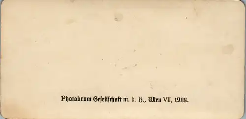 6621 - Bosnien und Herzegovina - Ilida , Jlidze , Hotel Bosna v. 1909