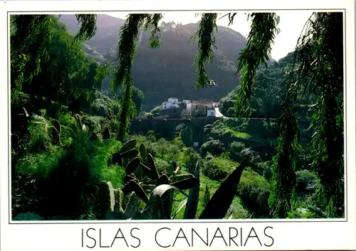 6778 - Spanien - Spain , Islas Canarias , Gran Canaria , Camino a Teror - nicht gelaufen