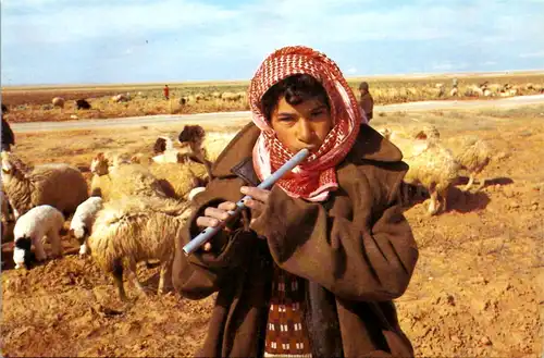 6822 - Jordanien - Jordan , Sheepherder with his Pipe in Jordan Desert , Schafhirte - nicht gelaufen