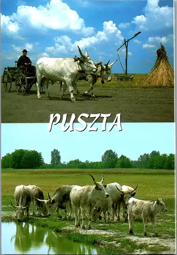 6839 - Ungarn - Üdvözlet a pusztáról , Puszta - nicht gelaufen