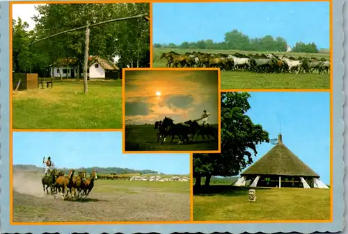 6845 - Ungarn - Bugac , Pferde , Mehrbildkarte - nicht gelaufen