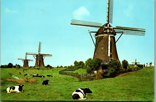 6909 - Niederlande - Leidschendam , Buurtschap Wilsveen , Hamlet of Wilsveen , Windmühle - nicht gelaufen