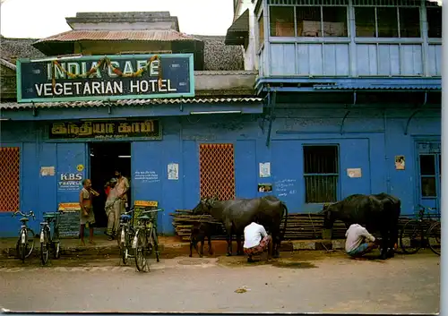 6912 - Indien - Milking Time , Vegetarian Hotel , Wasserbüffel - nicht gelaufen