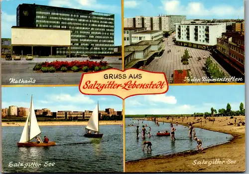 7155 - Deutschland - Salzgitter Lebenstedt , See , Rathaus , Blumentriften - nicht gelaufen