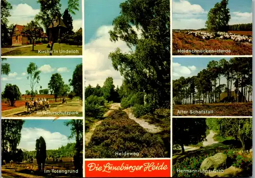 7335 - Deutschland - Lüneburger Heide , Im Totengrund , Heidschnucken Herde , Heideweg , Mehrbildkarte - nicht gelaufen