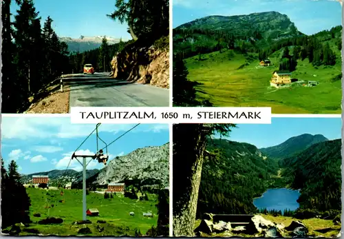 7560 - Steiermark - Tauplitzalm , Mehrbildkarte - gelaufen