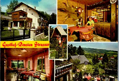7579 - Steiermark - Tauchen am Wechsel , Gasthof Pension Strasser , Mehrbildkarte - nicht gelaufen