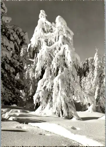 7700 - Italien - Dolomiti , Motivo invernale nelle Dolomiti , Winterlandschaft - gelaufen 1965