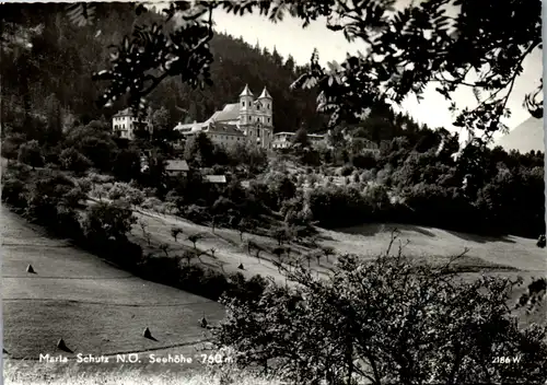 7841 - Niederösterreich - Maria Schutz , Panorama - gelaufen 1966