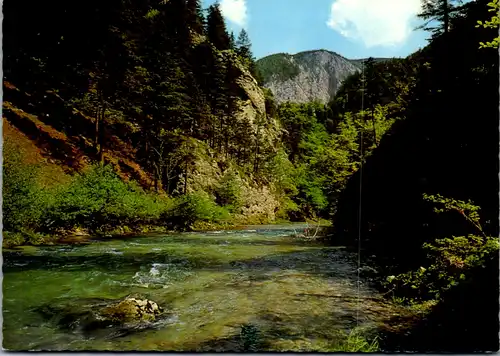 7853 - Niederösterreich - Höllental , Blick gegen die Rax - gelaufen 1972