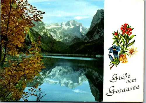 7978 - Oberösterreich - Gosausee , Panorama