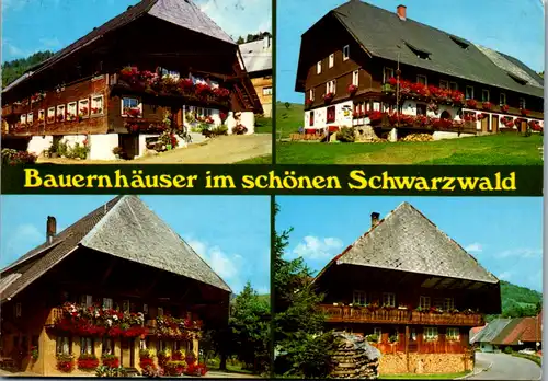 8149 - Deutschland - Bauernhäuser im Schwarzwald , Mehrbildkarte - gelaufen 1987