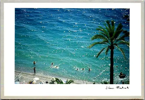 8289 - Frankreich - L' été le soleil , la mer et le palmier , Strand , Palme - gelaufen 2002