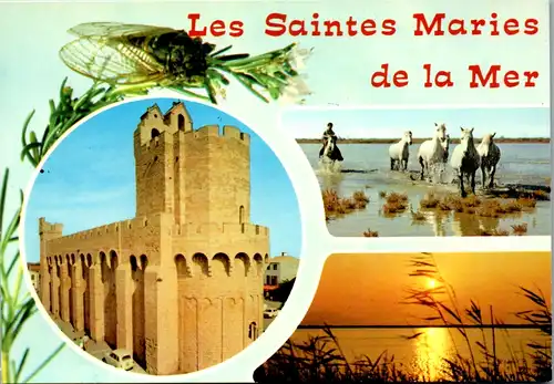 8335 - Frankreich - Saintes Maries de la Mer , Provence , Mehrbildkarte - nicht gelaufen