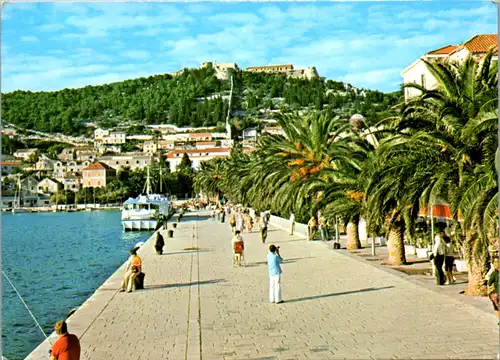 8345 - Kroatien - Hvar , Promenade , Palmen - gelaufen 1983