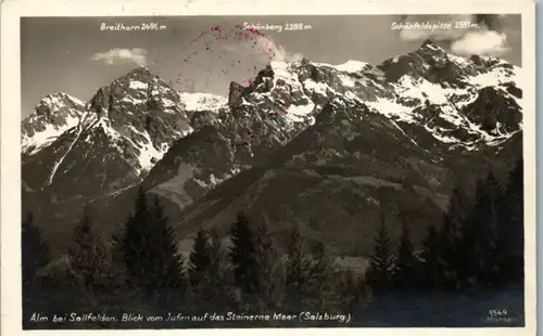 8420 - Salzburg - Alm bei Saalfelden , Blick vom Jufen auf das Steinerne Meer , Breithorn , Schönberg , Schönfeldspitze - gelaufen 1930