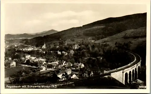 8479 - Niederösterreich - Payerbach mit Schwarza Viadukt - nicht gelaufen 1959/60