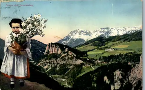 8486 - Niederösterreich - Gruß vom Semmering - gelaufen 1914