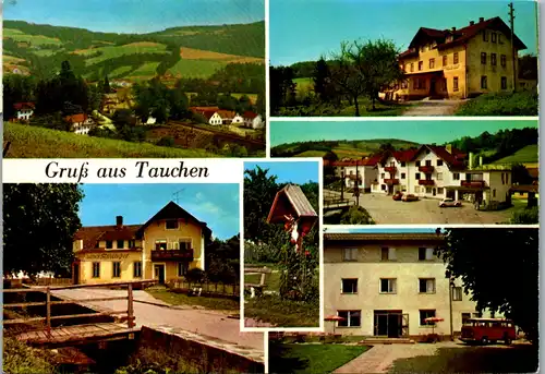 8529 - Niederösterreich - Tauchen bei Mönichkirchen , Gasthof Aminger , Mehrbildkarte - gelaufen