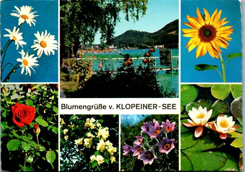 8531 - Kärnten - Klopeiner See , Blumen - gelaufen 1967