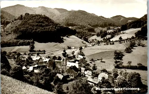 8537 - Niederösterreich - Reinsberg , Panorama - gelaufen 1964