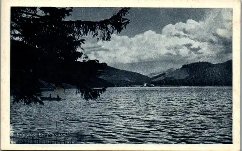 8589 - Steiermark - Erlaufsee bei Mariazell - gelaufen 1943