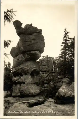 8612 - Polen - Karlsberg , Heuscheuer Kamel mit Großvaterstuhl - nicht gelaufen