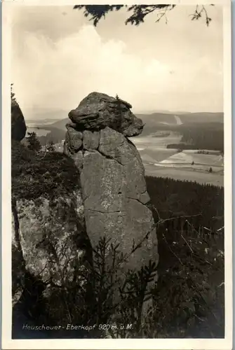 8613 - Polen - Karlsberg , Heuscheuer Eberkopf - nicht gelaufen