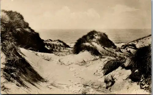 8657 - Deutschland - Dünen , Ostsee - nicht gelaufen