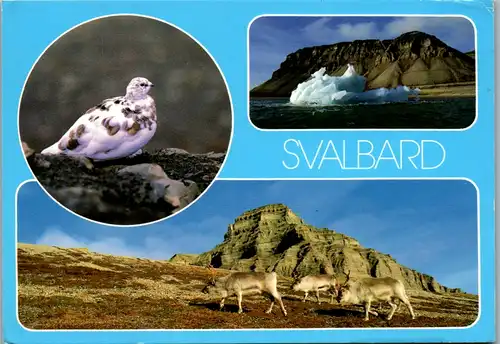 8671 - Norwegen - Spitzbergen , Svalbard , Mehrbildkarte - gelaufen 1988