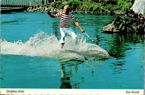 8676 - USA - California , San Diego , Sea World , Dolphin Ride - gelaufen 1977