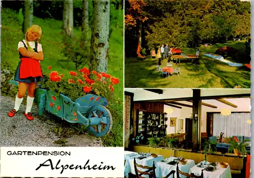 8683 - Niederösterreich - Semmering , Pension Alpenheim , Mehrbildkarte - nicht gelaufen