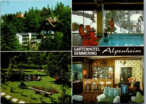 8684 - Niederösterreich - Werbekarte , Semmering , Pension Alpenheim , Mehrbildkarte