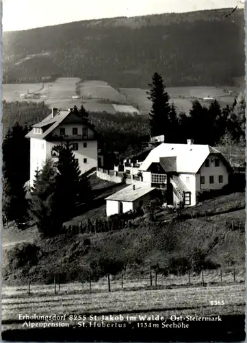 8705 - Steiermark - St. Jakob im Walde , Alpenpension St. Hubertus - gelaufen