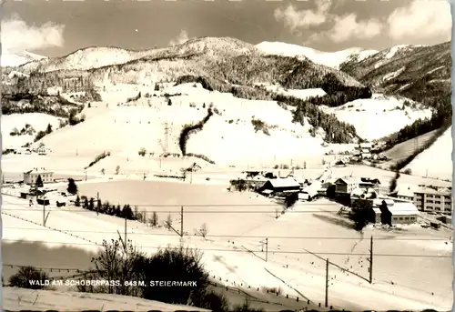 8706 - Steiermark - Wald am Schoberpass , Panorama - gelaufen 1971
