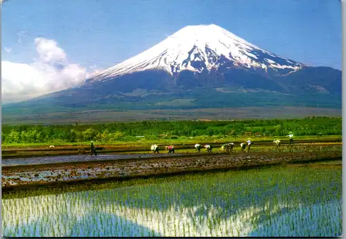 8718 - Japan - Rice planting and Mont Fuji , Vulkan - gelaufen 1980