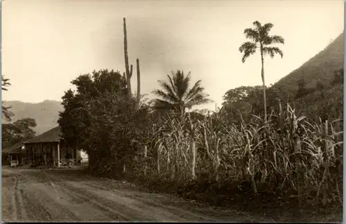 8942 - Venezuela - Carretera en la tierra templata - nicht gelaufen