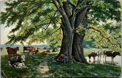 9005 - Künstlerkarte - Hirte unter Baum , Kühe , Wiese , signiert - nicht gelaufen