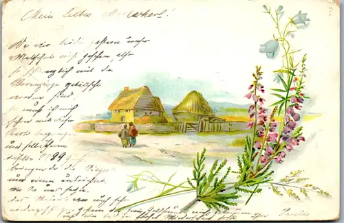 9178 - Motiv - Blumen , Straße mit Häusern , Maria Enzersdorf - Wien - gelaufen 1899