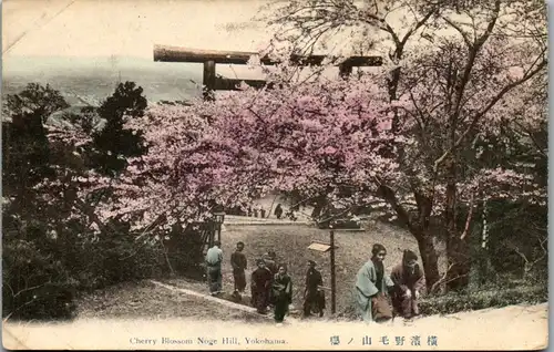 9307 - Japan - Yokohama , Cherry Blossom Noge Hill - nicht gelaufen