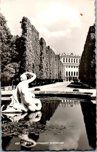 9382 - Wien - Schloss Schönbrunn , Schlosspark , Najadenbrunnen - gelaufen 1964