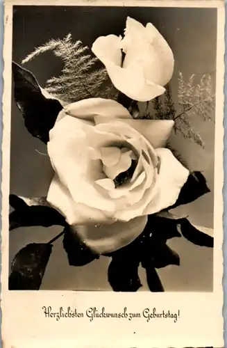 9431 -  - Herzlichen Glückwunsch zum Geburtstag , Blumen , Rose - gelaufen 1960